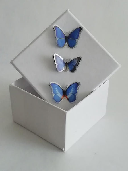 Boîte Cadeaux papillon